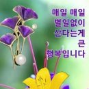 ♤'트바로티' 김호중♧ 이미지