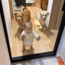 사온누리 | 모음 54