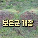 보은장묘