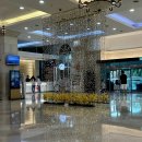 대명리조트 제주 | 제주 함덕 소노벨 구 대명리조트 조식 해난디 내돈내산 솔직후기 예약 투숙객 15% 할인