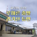 골든 종합카 | 루체른에서 리기산 올라가는 법 (ft. 골든라운드 루트, 페리+기차 탑승 후기)