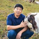 주도흑염소 이미지