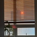 3팝브레인피씨 | 꿈틀대는 3월 🐛