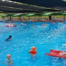 금강자연휴양림 이미지