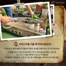 커피나무`S