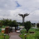 뿌리광장 이미지