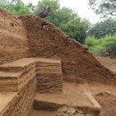 강화중성 이미지