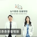 눈이튼튼 동물병원 이미지