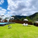 스테이 감동 이미지