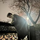 12.3 내란외환 청산과 종식, 사회대개혁 시민대행진 등 이미지