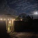 서쪽에서(귤이네) 이미지