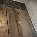 그린카페트 소파세탁 이미지