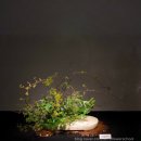 꽃꽂이 교실2 | 오하라류_도쿄 오하라스쿨 130주년 기념전시와 마스터 워크샵(1) 후기🌾 동양꽃꽂이 일본꽃꽂이 침봉꽃꽂이