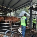 군포시보건소 이미지