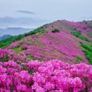 춘하추동 이미지