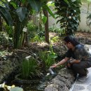 산성시장 이미지