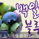 백일농장 이미지