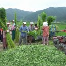 안동포마을 이미지