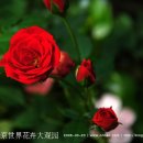 밤나무 민박 이미지