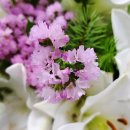 동경일본어학원 이미지