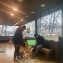 달구애견 네이버블로그