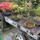 옛터농장 이미지