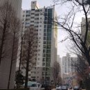 자생당약국 이미지