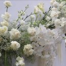 앤 플라워 이미지