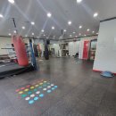 골든보이복싱체육관 이미지