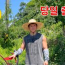 승용농장 | “관리기 사용 후기｜주말농장·텃밭 밭갈기 필수템 🚜 영상 공개”