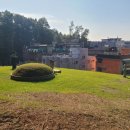 최정걸 장군묘 이미지