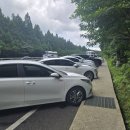 성심카서비스 | 제주여행 이동 수단! 제주도 대형택시 렌트 후기