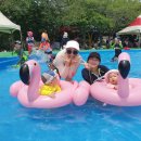 어린이회관 수영장 이미지