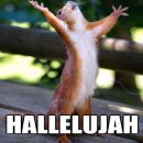 고향뜰 농장 이미지