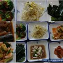 영덕04 Daum카페