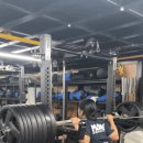 쿼터핀 스쿼트 260kg 두번 뽑는 08년생 체대 입시생 이미지