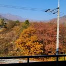 간월산온천&텔 이미지