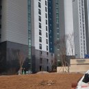 해달그린