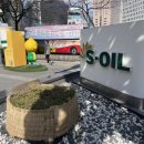 로빈 | [찐후기] 공덕 닥터로빈 후기 | 다이어트 파스타