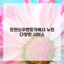 신우카서비스 이미지