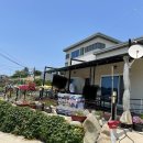 하화낭만 이미지