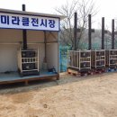 미라클지사