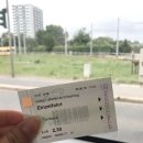 로미하우스 민박 이미지