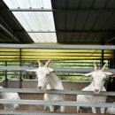 한우드림제2농장 이미지