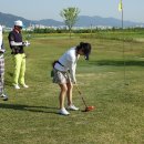 홀리데이파크골프 Daum카페