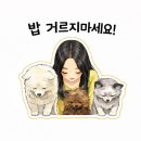 새콤달콤 | [쿠팡 홍쌍리 청매실 절임 솔직 후기｜새콤달콤 밥도둑 매실장아찌]