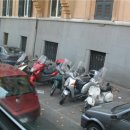 종낙농장 | 이탈리아-로마-성 바울성당