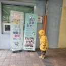 아라초등학교 병설유치원 이미지