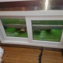 남목시장 이미지