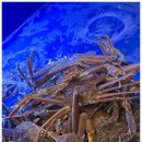 천상의 맛 이미지